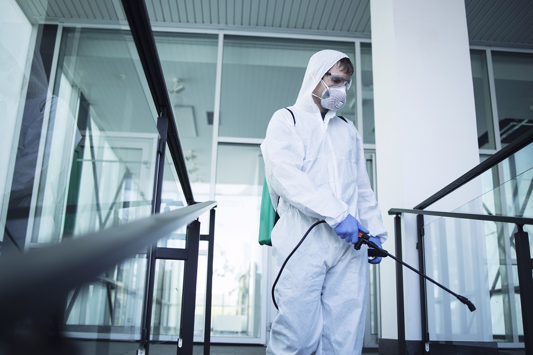 Hawx Pest Control Reviews – Reliable Pest Management in Action